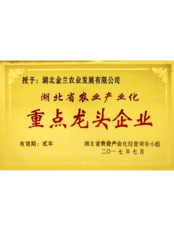 重點龍頭企業